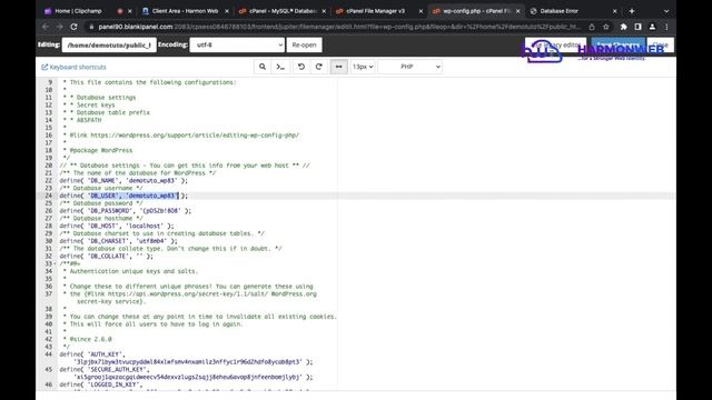 How to Fix “Error Establishing a Database Connection” in WordPress смотреть онлайн