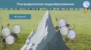 Биология 9 класс (Урок№25 - Видообразование.)