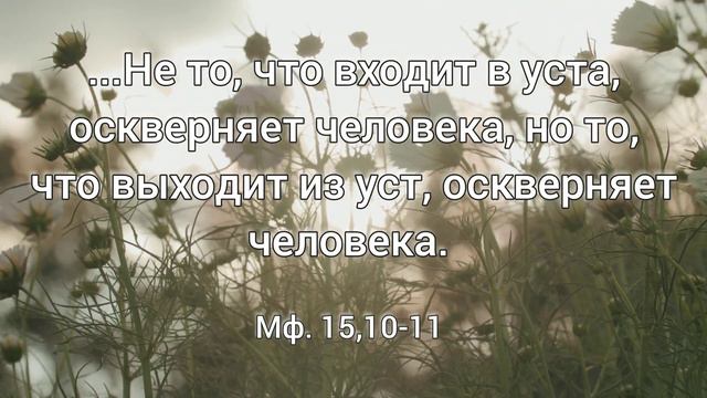 Заповеди Нового Завета [005] смотреть онлайн