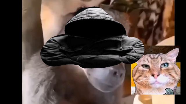 РЕАЛЬНО! То что было со мной вчера смотреть онлайн
