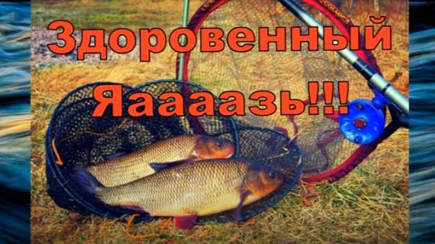 Здоровенный Яаааазь!!! Рыба моей мечты. Авторский инструментал SaAnVi. смотреть онлайн