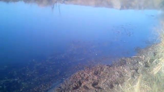 На речку на мотоблоке . смотреть онлайн