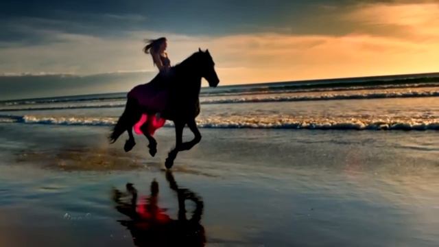 COMMUNICATION BETWEEN HUMAN AND ANIMAL WITH AMAZING NATURE смотреть онлайн