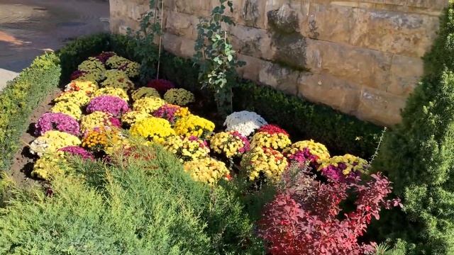 Украсим осень цветами смотреть онлайн