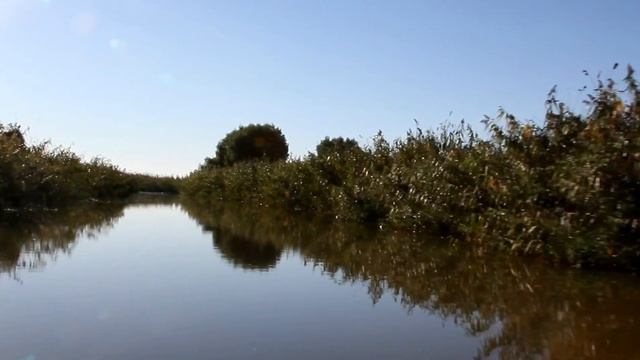 Выход по 7 прокосу на раскаты в дельте Волги смотреть онлайн