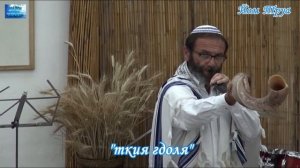 Порядок трубления в шофар на Рош-hа-шана