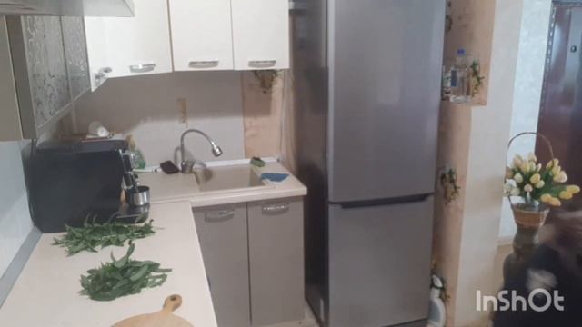 Как сохранить МЯТУ и способы использования. смотреть онлайн