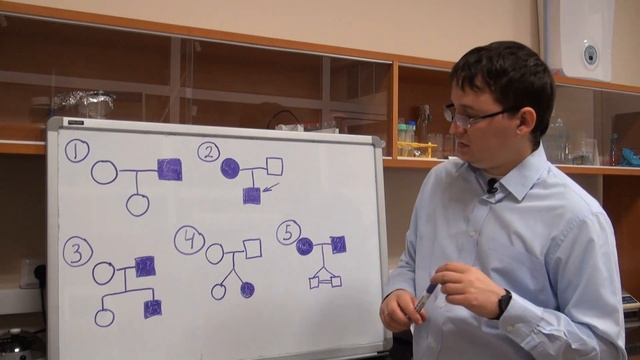 Анализ родословных. Урок 2. Обозначения. смотреть онлайн