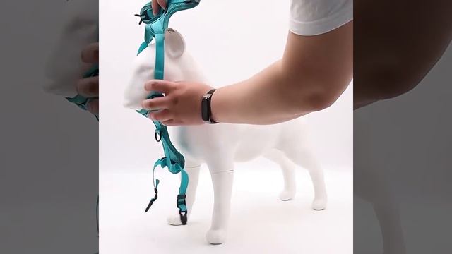 French Bulldog Yorkies Dog Cats No Pull Harness And Leash Set смотреть онлайн
