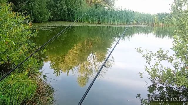 Рыбалка на кормушки смотреть онлайн