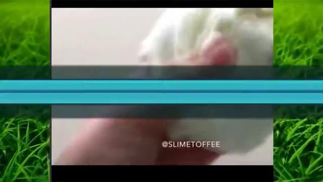 Авокадо 🥑 Слайм / ASMR SLIME смотреть онлайн