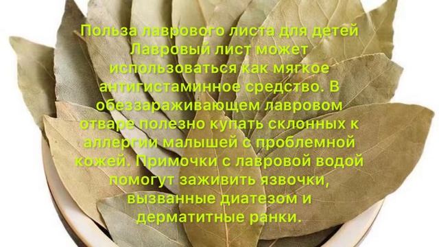 Вся тайна ЛАВРА раскрыта, ХОЧЕШЬ узнать?! #лавруха смотреть онлайн