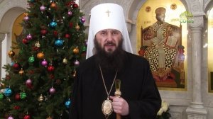 Рождественское поздравление митрополита Феодора Волгоградского и Камышинского