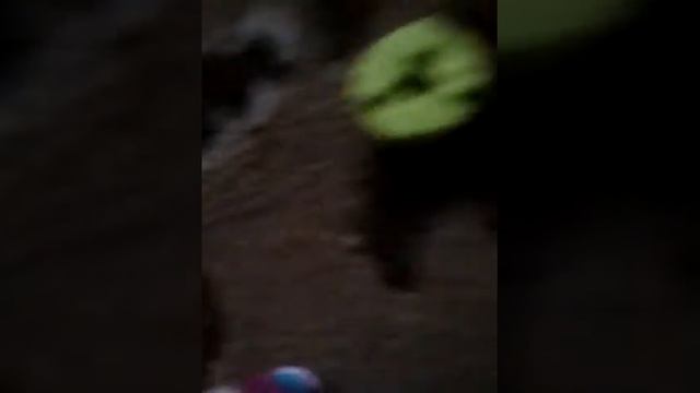 Как собрать конструктор лего френдз рабочий стол смотреть онлайн