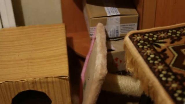 Кошачья мята на когтеточке смотреть онлайн