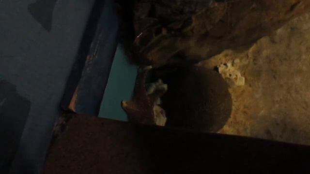 St.Petersburg // Поездка в океанариум ^^ // Санкт-Петербург