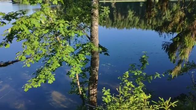 Часть 10: Утро на Валдайском озере... смотреть онлайн