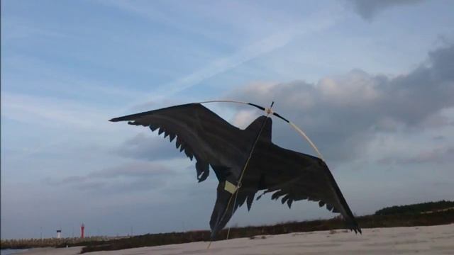 Bird Kite ,Latawiec Ptak смотреть онлайн