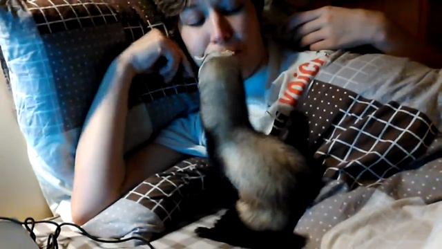 Скажите ей, что она хищник! смотреть онлайн