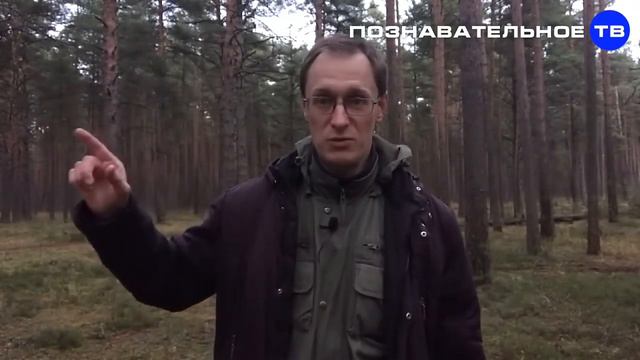 У женщины должен быть только ОДИН хозяин! смотреть онлайн