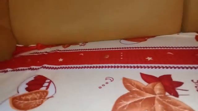 Обзор крольчонка 13 деньков малышу,гуляка по дивану.