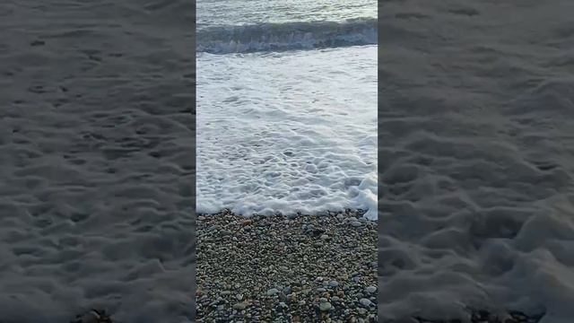 22 апреля 2023 г. пос. Вардане смотреть онлайн