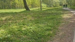 Порядочный человек. Размышления о порядочности. Что значит - быть порядочным человеком?