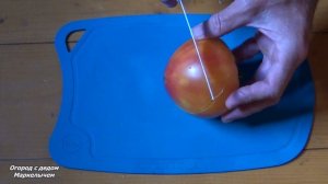 ТОМАТ ЗАГАДКА ПРИРОДЫ. Обзор сибирского сорта.