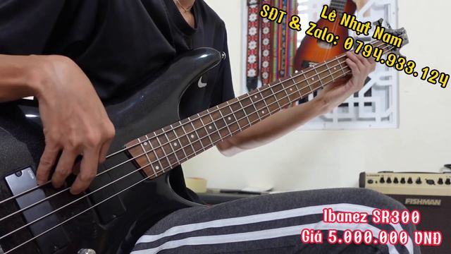 Giới thiệu Ibanez Bass SR300 l Có Preamp смотреть онлайн