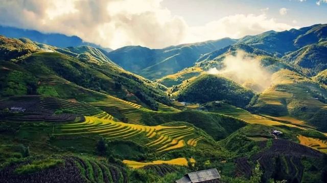 Sleep Music Beautiful Sleep Music For Stress Relief - My Music Live #6