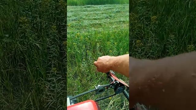 МОТОБЛОК АВАНГАРД смотреть онлайн