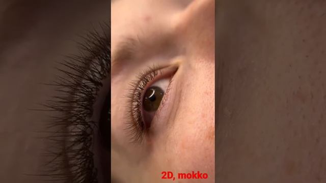 Наращивание ресниц цвет Мокко, 2Д, мягкая лиса, 11мм-7мм #kazakhstan #наращиваниересниц #eyelashes смотреть онлайн