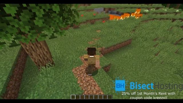 Once Upon a Stroll - A 1.14.4 Minecraft Forge Mod Review смотреть онлайн