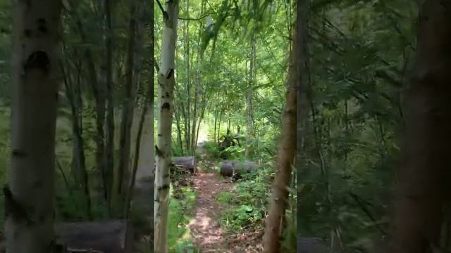 Родники Подмосковья и их окрестности. смотреть онлайн