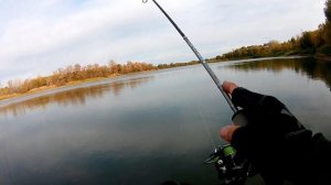 Котловой окунь поздней осенью? Микроджиг с Kaida  Order 210  0.5 - 3.0 гр.