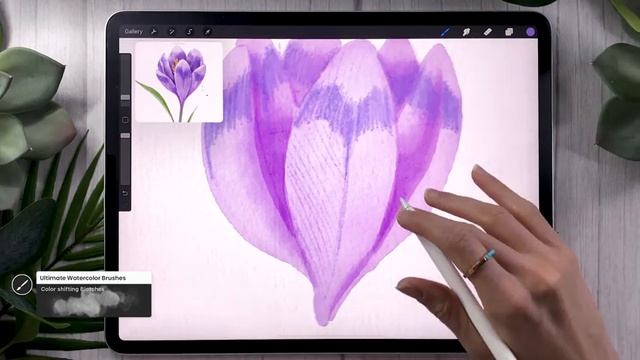 How To Draw: Watercolor Crocus (Flower) • Procreate Tutorial смотреть онлайн