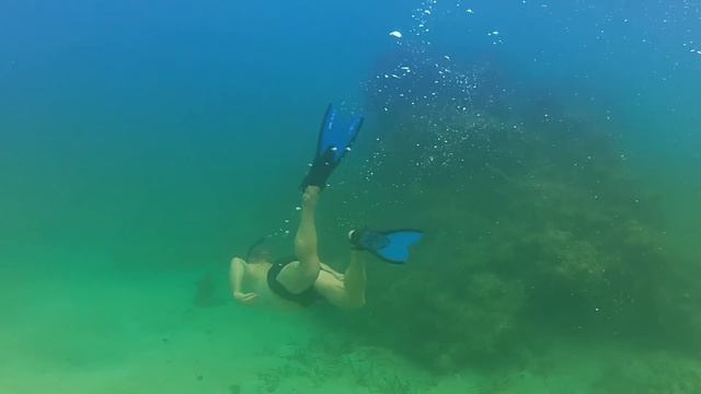 Snorkeling in Spooky Channel - Roatan, Honduras 2013 смотреть онлайн