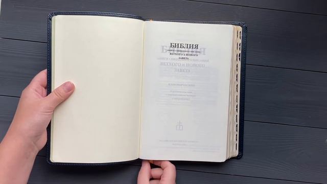 Библия "Терновый венец" (17х24см, чёрная экокожа, индексы, золотой обрез, крупный шрифт) смотреть онлайн