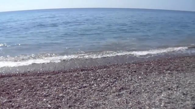 Получите релакс от шума моря и прогулки этой птицы смотреть онлайн