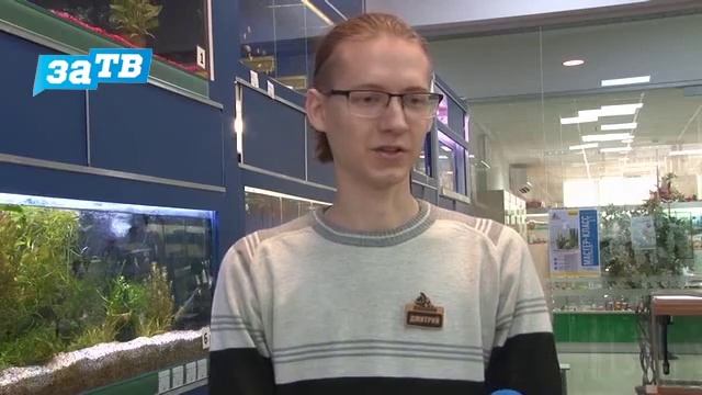 Планета ZOO//Вы решили завести аквариум. С чего начать? смотреть онлайн