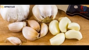 ЗАМБУРУГ КАСАЛЛИГИ ДАВОСИ ҲАҚИДА НИМАЛАРНИ БИЛАМИЗ?