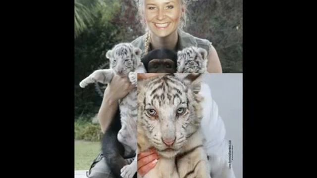 Поздравление с Новым годом для коллектива смотреть онлайн