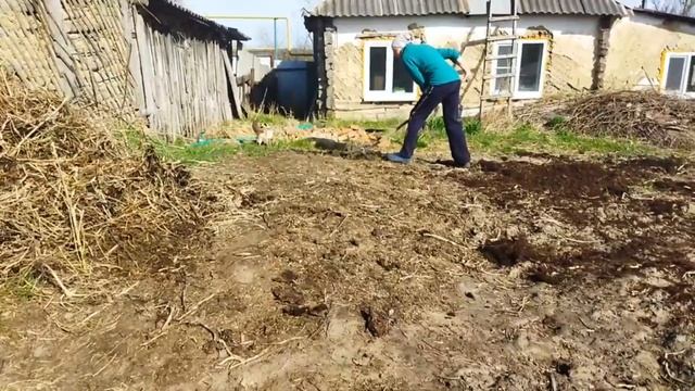 Подготавливаю почву под посадку картофеля. 15 апреля. смотреть онлайн