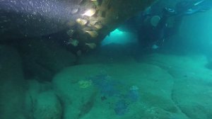 Дайвинг во Вьетнами. Нячанг. Остров Хон Мун. Дайв-сайт - Madonna Rock. Лучшие места для погружений.