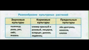 №4 Растениеводство. Окружающий мир 3 класс. Таблица культурные растения