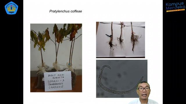 3. HPT - Nematologi Tumbuhan - Peran Nematoda Dalam Pertanian