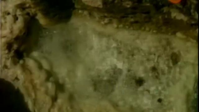 Кайлас. Тайны священной горы.