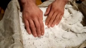 рыба под прессом своими руками сырок