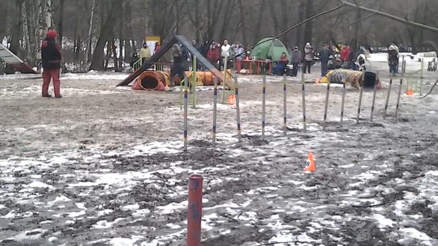 ГПА 5 12 15 прогресс Квил смотреть онлайн
