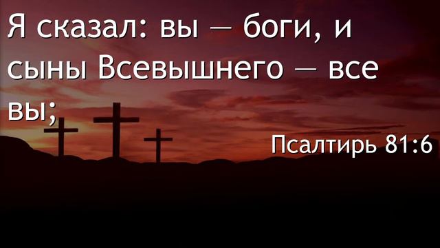 04.09.22 Владимир Цыс - "О вечных Божьих постановлениях и о безумии некоторых людей" смотреть онлайн